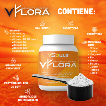 Vsouls Vflora Probioticos Y Prebioticos Polvo 500 G