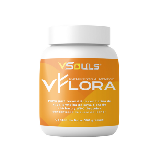 Vsouls Vflora Probioticos Y Prebioticos Polvo 500 G